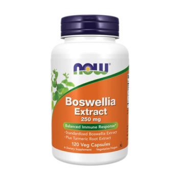 NOW BOSWELLIA EXTRACT / ЭКСТРАКТ БОСВЕЛИИ 250 мг в капсулах №120