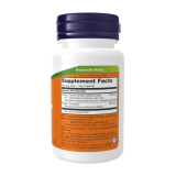 Now Ginkgo Biloba 120 mg Гінкго Білоба