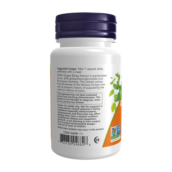 Now Ginkgo Biloba 120 mg Гінкго Білоба