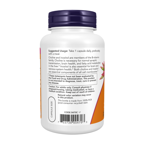 Now Choline and Inositol Холин и инозитол