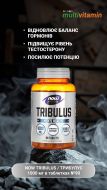NOW TRIBULUS / ТРИБУЛУС 1000 мг у таблетках №90